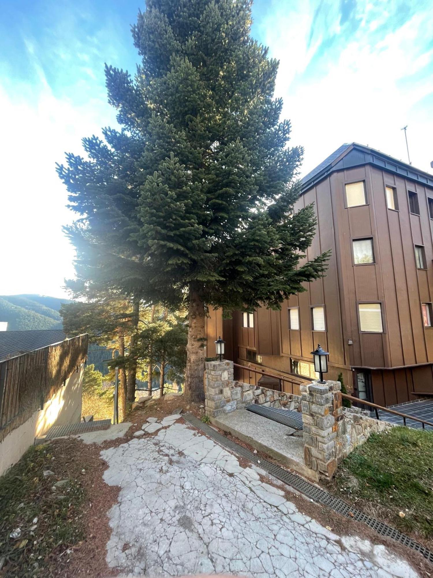 Apartamento Acogedor En La Molina, 2Hab, Wi Fi La Molina (Girona) Exterior foto